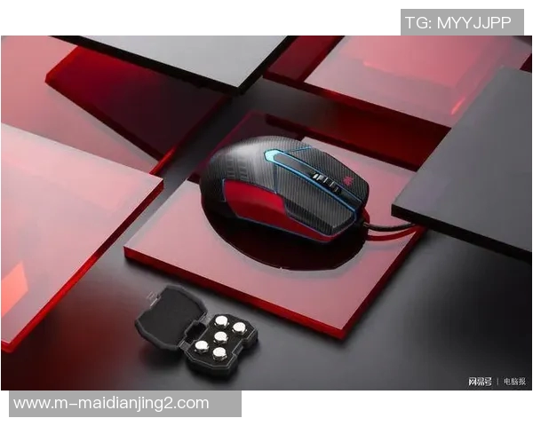 电竞数据与陈芳的英雄联盟职业生涯深度对话与回顾