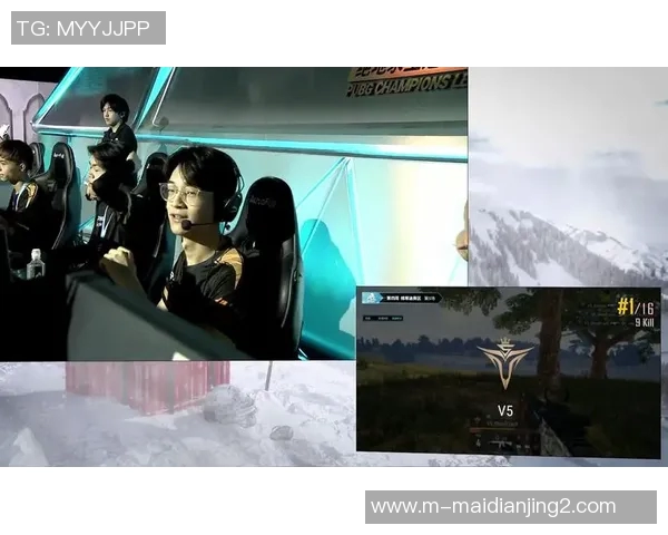 和平精英实力排行榜V5强势登场成功跻身第七名引发玩家热议实时数据