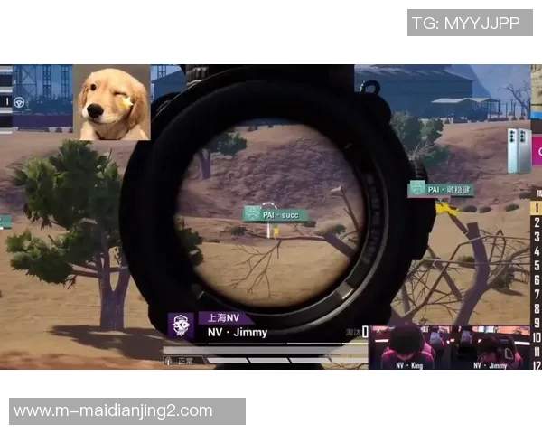 esports数据和平精英评论V5运营策略分析及其成功与不足之处探讨